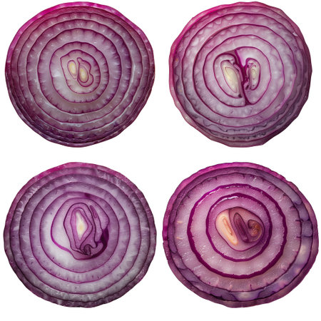 Set of Onion slice Isolated on white backgroundの素材