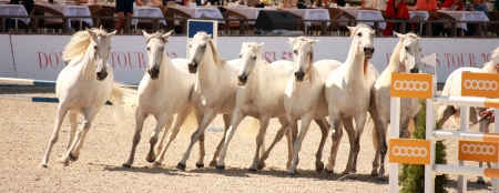 jumping in Donetsk 2012のeditorial素材