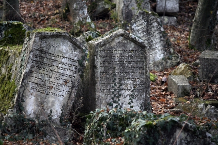 Ancient graveyard grim 2012