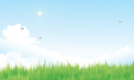 blue nature sky and grassのイラスト素材