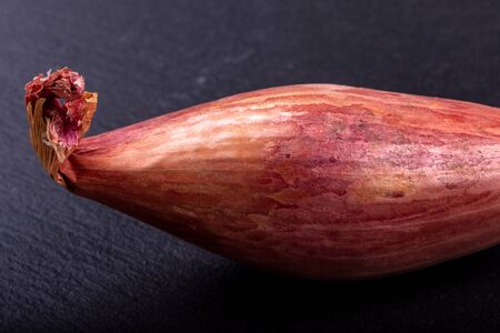 a shallot on a black backgroundの写真素材