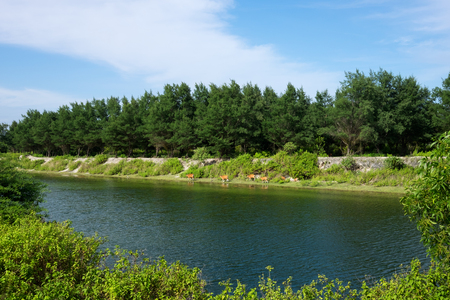 Pond surrounded by trees and forest and cows on the opposite bank.の写真素材