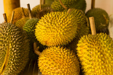 Lot of durians with defocused durian bokehの写真素材
