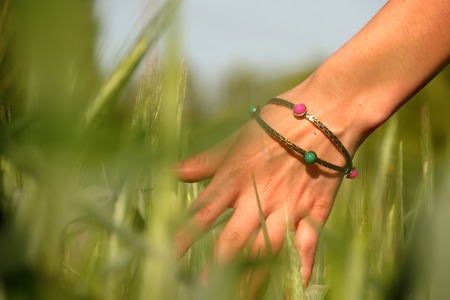 Girls Hand in young green wheat field.の写真素材