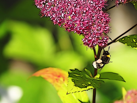 bumblebee on the lilac. lilac wallpaper with a bumblebeeの写真素材