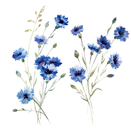 Beautiful vectorn pattern with blue flowers on white fonのイラスト素材