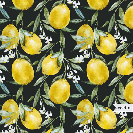 Beautiful watercolor vector pattern with yellow lemons on brunchのイラスト素材
