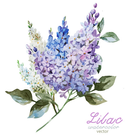 Beautiful watercolor vector lilac pattern flowers and leafs