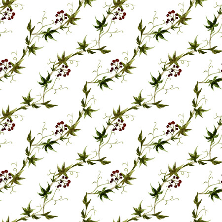 Beautiful vector watercolor grape pattern with leafsのイラスト素材