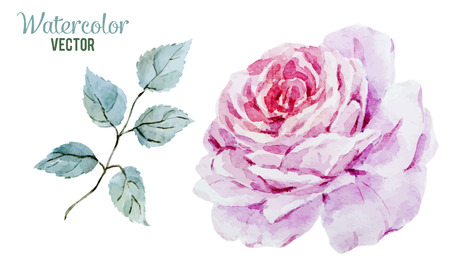 Beautiful vector image with gentle watercolor rosesのイラスト素材