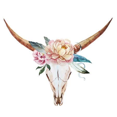 Beautiful vector image with nice watercolor skullのイラスト素材