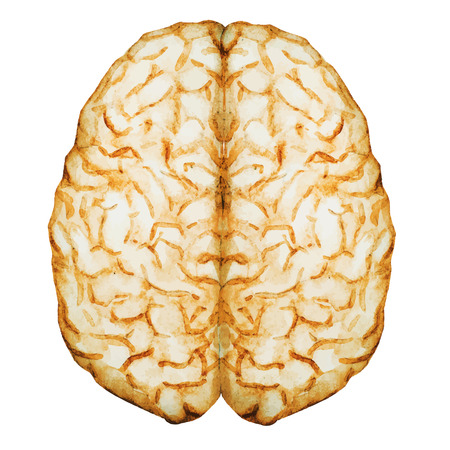 Beautiful vector image with nice watercolor brain
