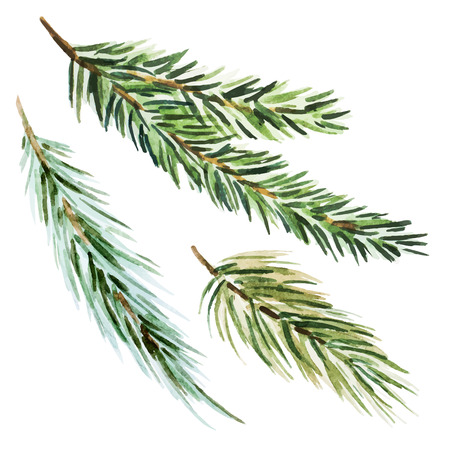Beautiful image with nice watercolor fir-tree branchのイラスト素材
