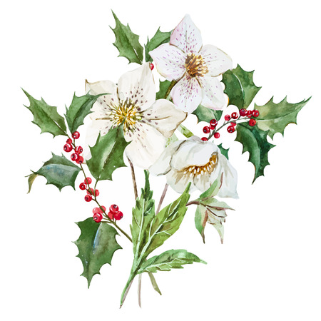 Beautiful image with nice watercolor christmas flowersのイラスト素材