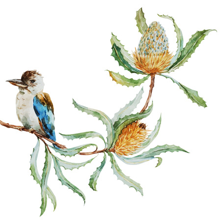 Beautiful vector image with nice australian kookaburra birdのイラスト素材