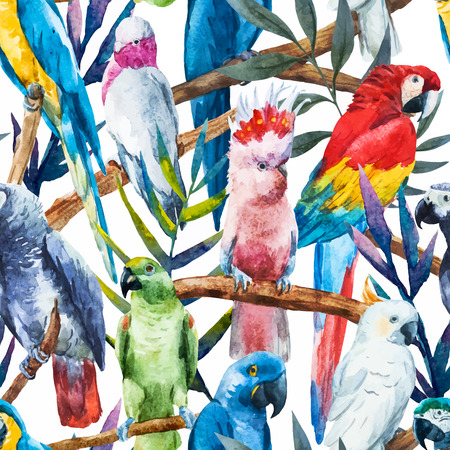 Beautiful vector image with nice watercolor parrotsのイラスト素材