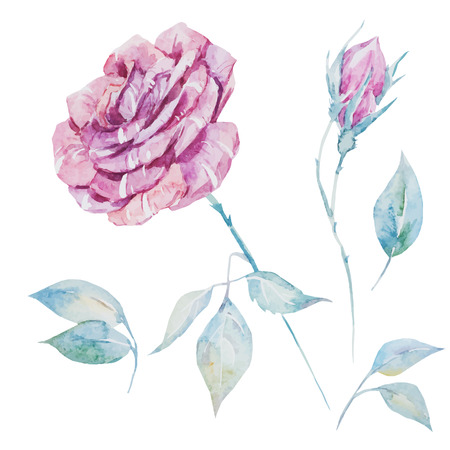 Beautiful vector image with nice watercolor rosesのイラスト素材