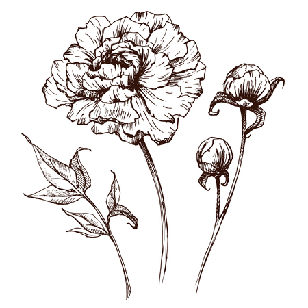 Beautiful vector image with nice graphic flowers and leavesのイラスト素材