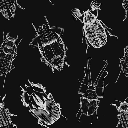 Beautiful vector pattern with nice different beetlesのイラスト素材