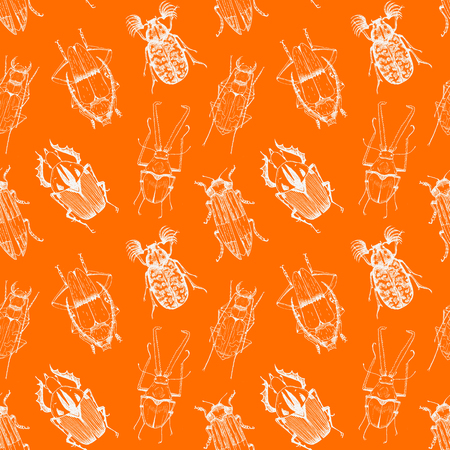 Beautiful vector pattern with nice different beetlesのイラスト素材