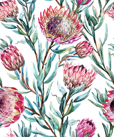 Beautiful vector pattern with nice watercolor tropical protea flowerのイラスト素材
