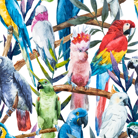 Beautiful raster image with nice watercolor parrotsの写真素材