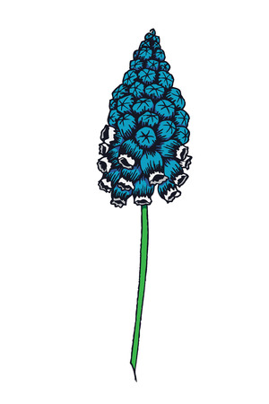 Beautiful vector image with nice hand-drawn flowerのイラスト素材