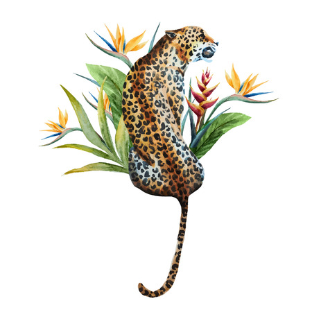 illustrated watercolor  leopardのイラスト素材