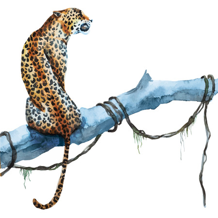illustrated watercolor  leopardのイラスト素材