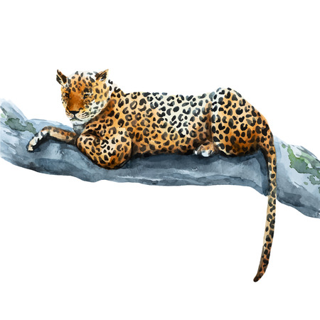 illustrated watercolor  leopardのイラスト素材