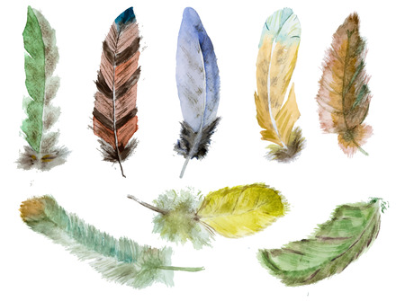 Beautiful image with nice watercolor hand drawn feathersのイラスト素材