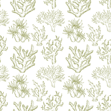 Beautiful pattern with underwater sea life coralsの写真素材