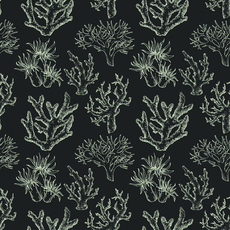 Beautiful pattern with underwater sea life coralsの写真素材