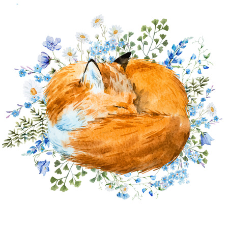Beautiful image with nice watercolor hand drawn sleeping foxのイラスト素材