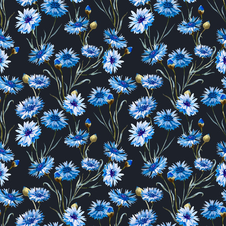 Beautiful pattern with nice watercolor hand drawn cornflowersの写真素材