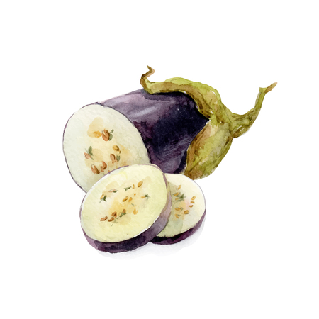 Beautiful image with nice watercolor hand drawn eggplantのイラスト素材