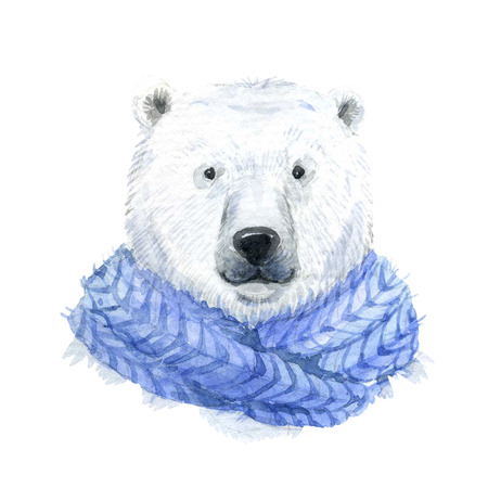 Beautiful waterclor polar bear in a blue scarfの写真素材