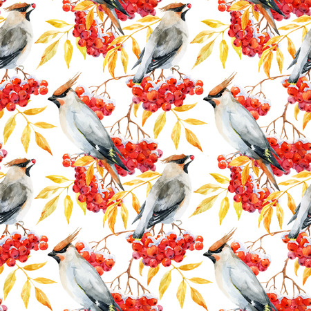Beautiful pattern with nice watercolor waxwing bird and mountain ashのイラスト素材