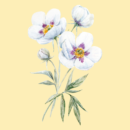 Beautiful hand drawn watercolor bouquet with white peony flowersのイラスト素材