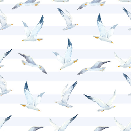 Watercolor seagull vector patternのイラスト素材
