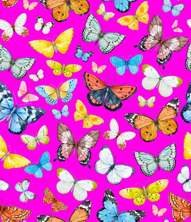 Watercolor butterfly patternの写真素材