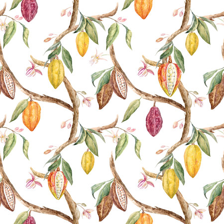 Watercolor cacao patternの写真素材