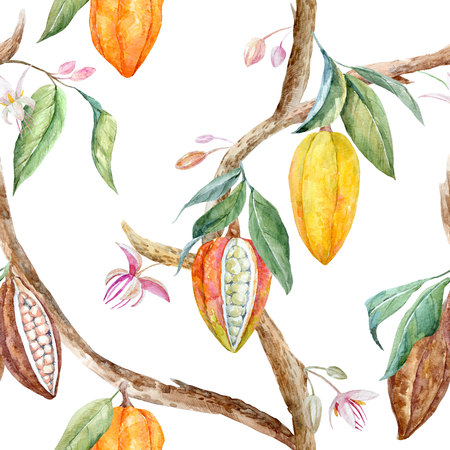 Watercolor cacao patternの写真素材