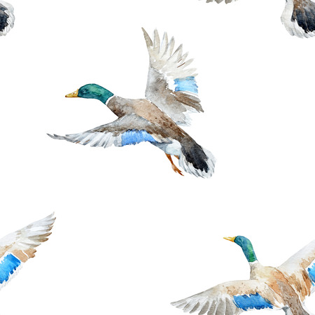 Watercolor pattern with ducksの写真素材