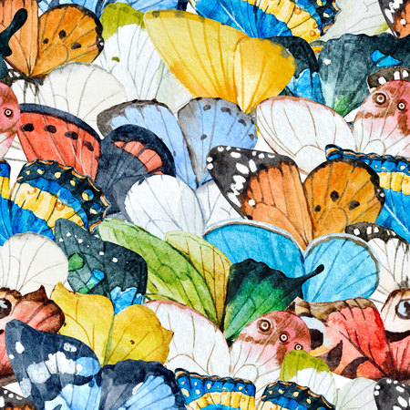 Watercolor butterfly patternの写真素材