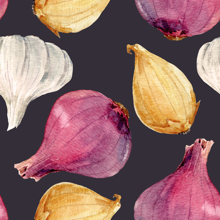 Watercolor onion patternの写真素材