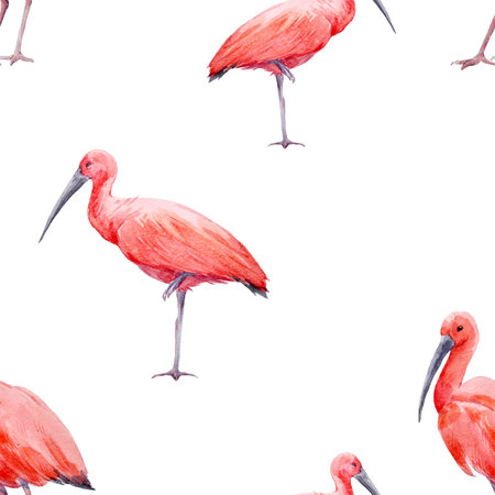 Watercolor tropical patternの写真素材