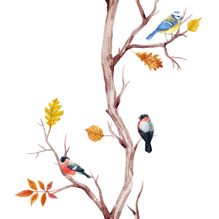Fall trees and birds vector patternのイラスト素材