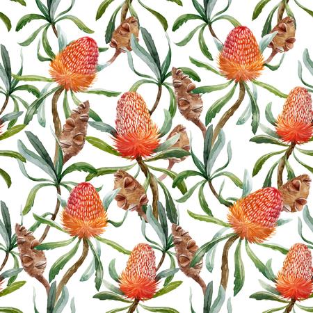 Watercolor tropical australian flower in a seamless vector pattern background design illustrationのイラスト素材
