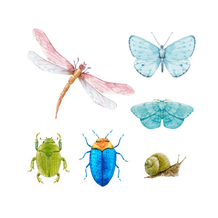 Watercolor insect vector setの写真素材